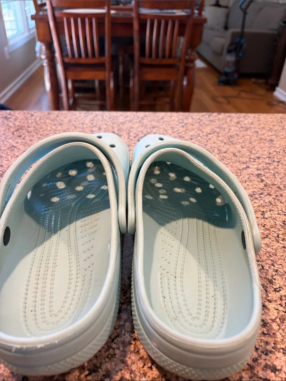 CROCS Classic Clogs in Coveted Mint Color
